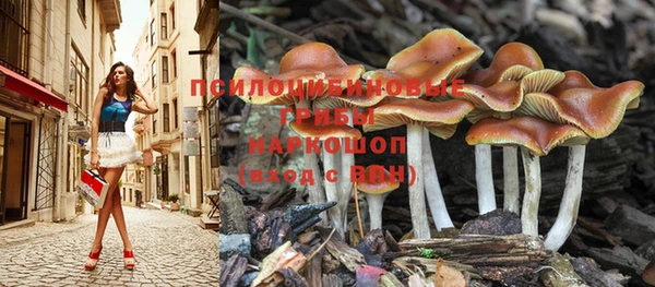бошки Белоозёрский
