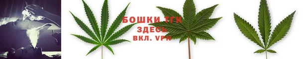 круглые Белокуриха