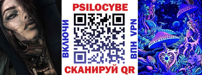 Купить где  Николаевск  Псилоцибиновые грибы Psilocybe 